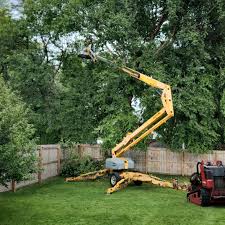 Best Emergency Tree Removal  in Dallas, OR