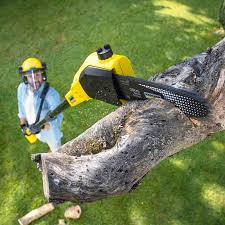 Best Pest Control for Lawns  in Dallas, OR